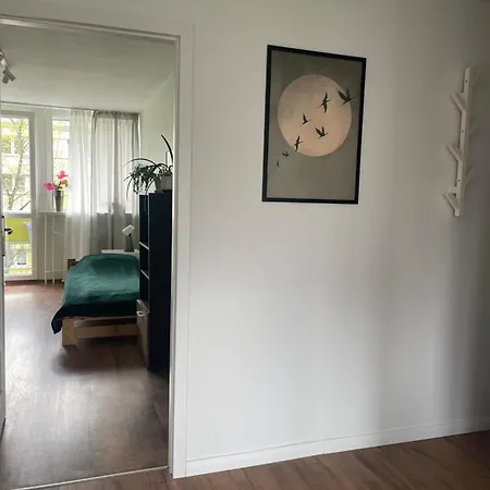 Jelenia Apartamento *